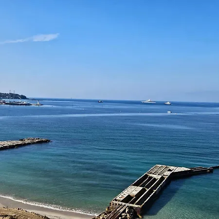 Centre Juan Les Pins Colombier 2p Apartment
